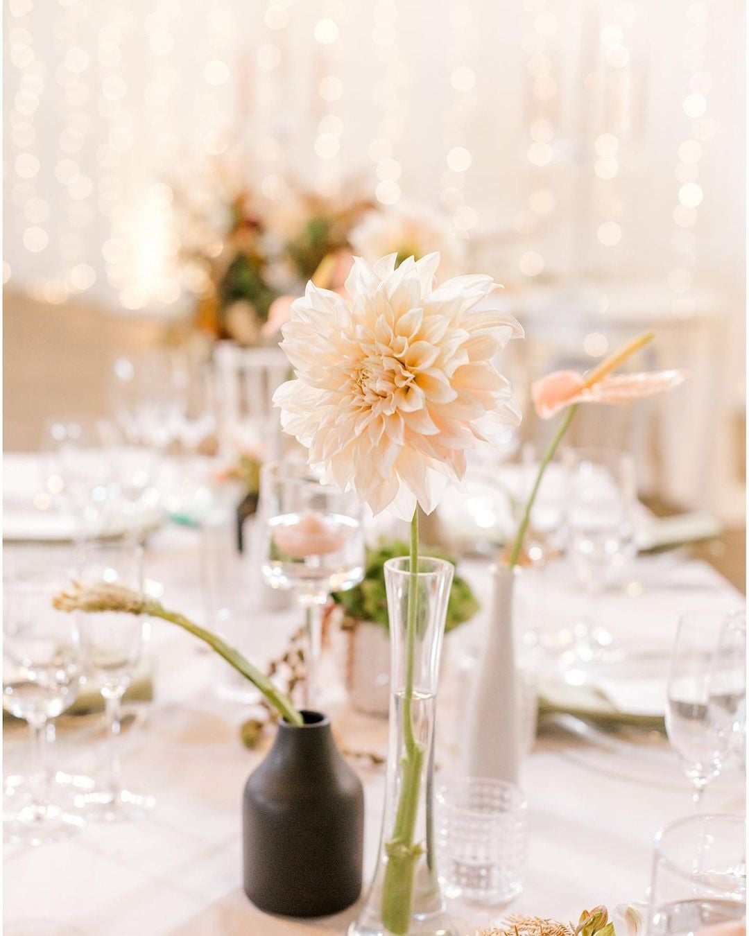 Joli Wedding
