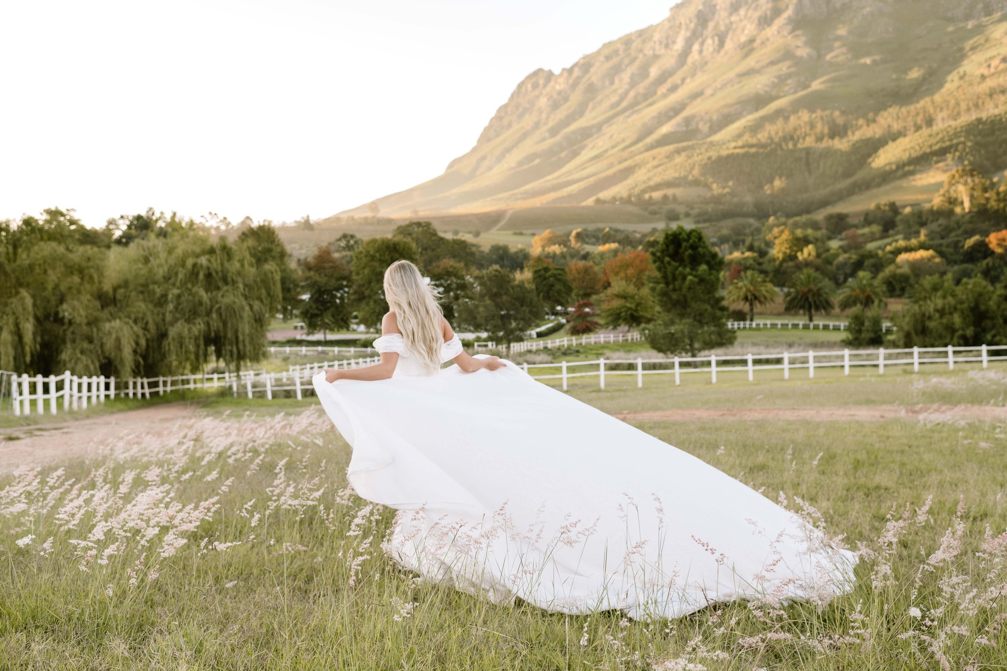 Joli Wedding