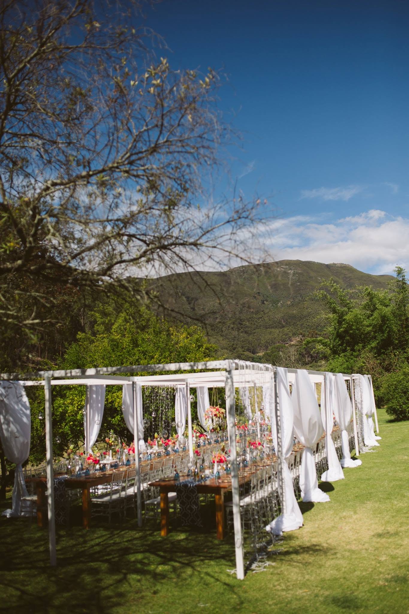Joli Wedding